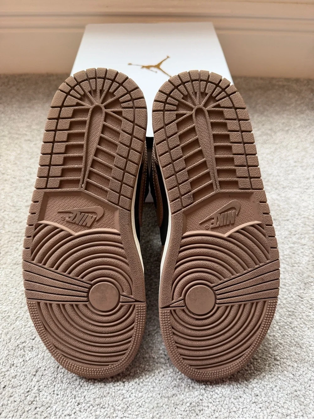 Nike Air Jordan 1 Low Top Sneakers in Brown & Black